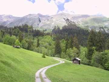 Naturwunderweg in Au-Schoppernau im Bregenzerwald